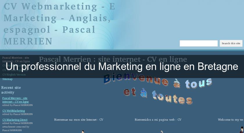 Un professionnel du Marketing en ligne en Bretagne Un professionnel du Marketing en ligne en Bretagne