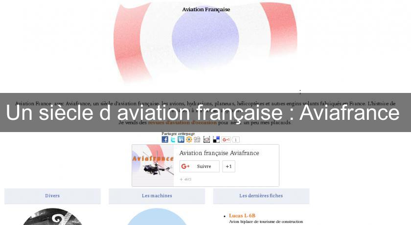 Un siècle d'aviation française : Aviafrance 