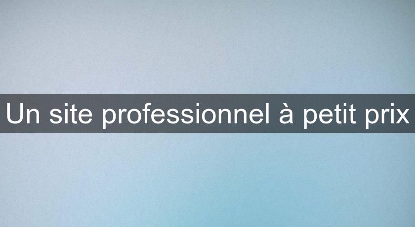 Un site professionnel à petit prix