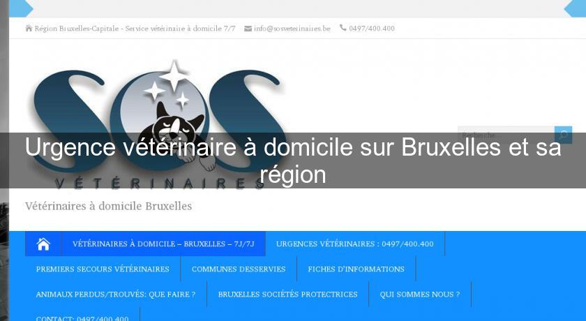 Urgence vétérinaire à domicile sur Bruxelles et sa région