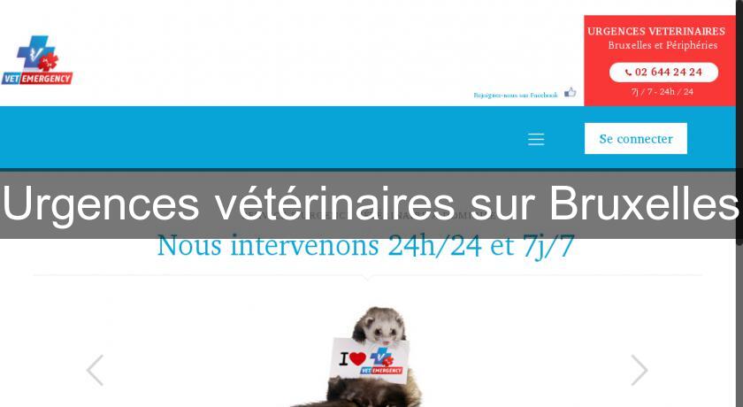 Urgences vétérinaires sur Bruxelles