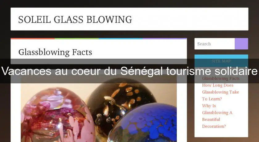 Vacances au coeur du Sénégal tourisme solidaire