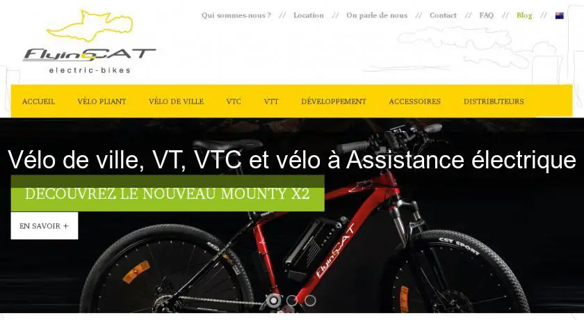 Vélo de ville, VT, VTC et vélo à Assistance électrique