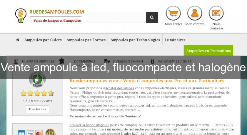 Vente ampoule à led, fluocompacte et halogène