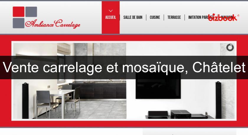 Vente carrelage et mosaïque, Châtelet Vente carrelage et mosaïque, Châtelet
