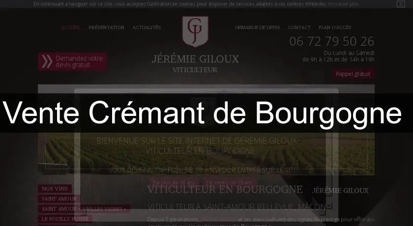 Vente Crémant de Bourgogne 