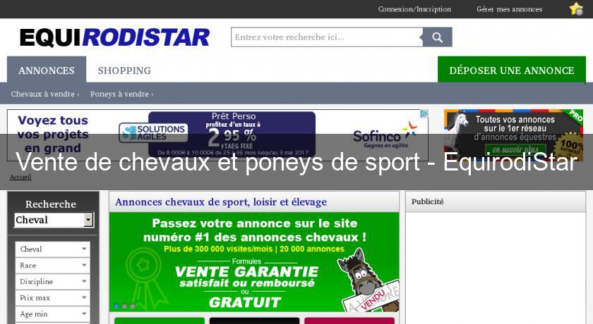 Vente de chevaux et poneys de sport - EquirodiStar Vente de chevaux et poneys de sport - EquirodiStar