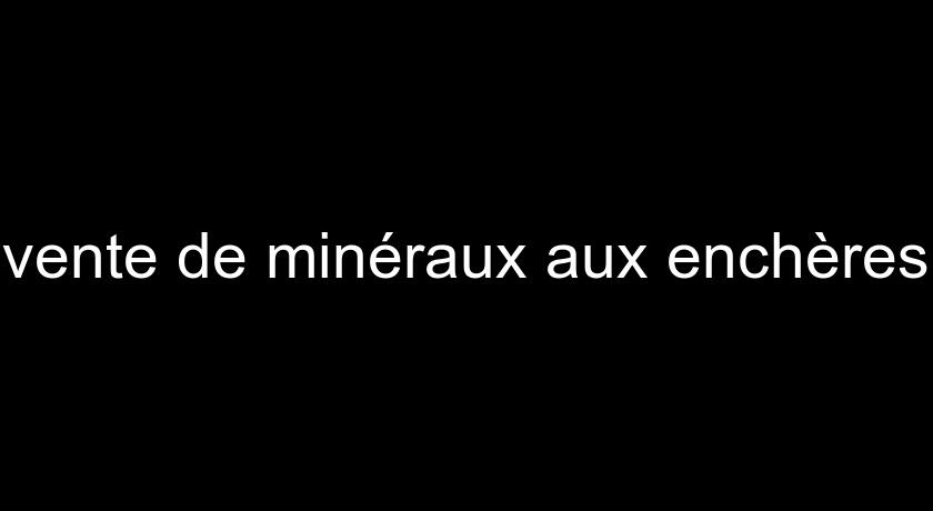 vente de minéraux aux enchères vente de minéraux aux enchères