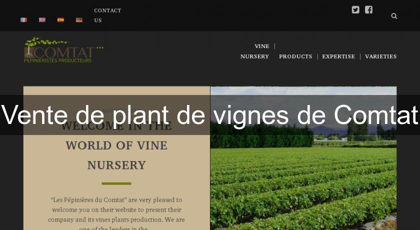 Vente de plant de vignes de Comtat