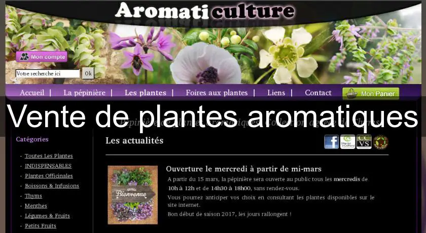 Vente de plantes aromatiques