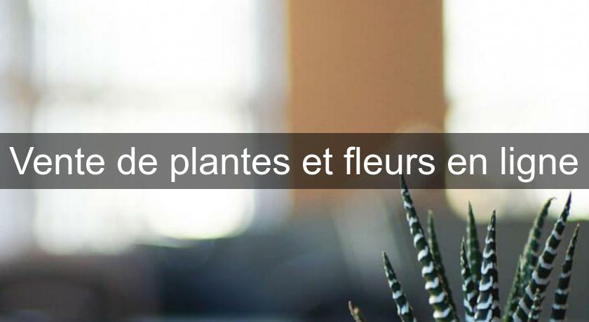 Vente de plantes et fleurs en ligne Vente de plantes et fleurs en ligne