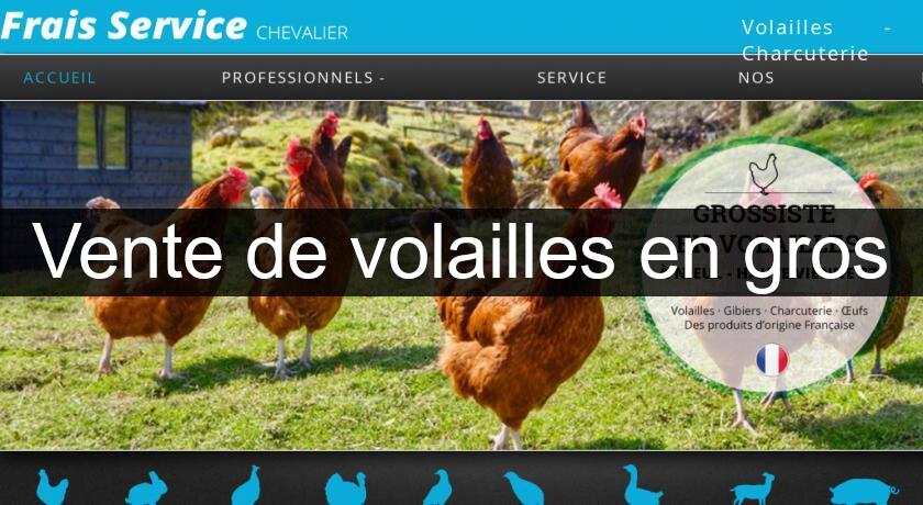 Vente de volailles en gros