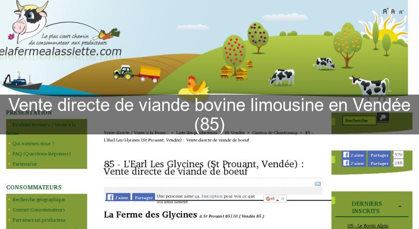 Vente directe de viande bovine limousine en Vendée (85) Vente directe de viande bovine limousine en Vendée (85)