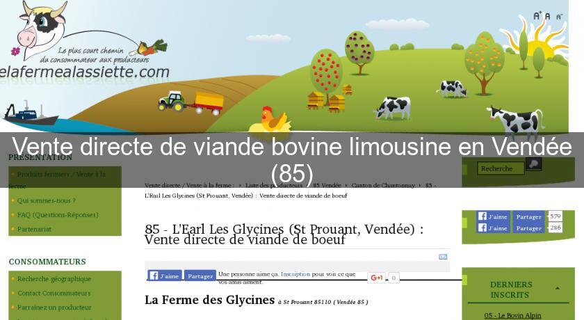 Vente directe de viande bovine limousine en Vendée (85)