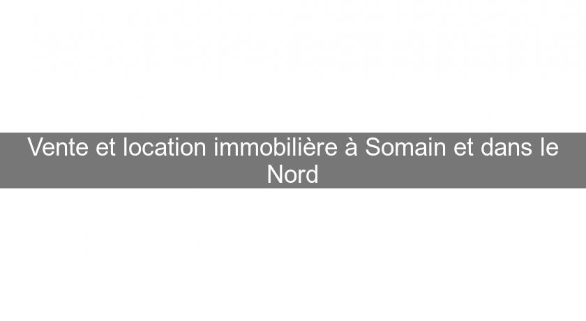 Vente et location immobilière à Somain et dans le Nord