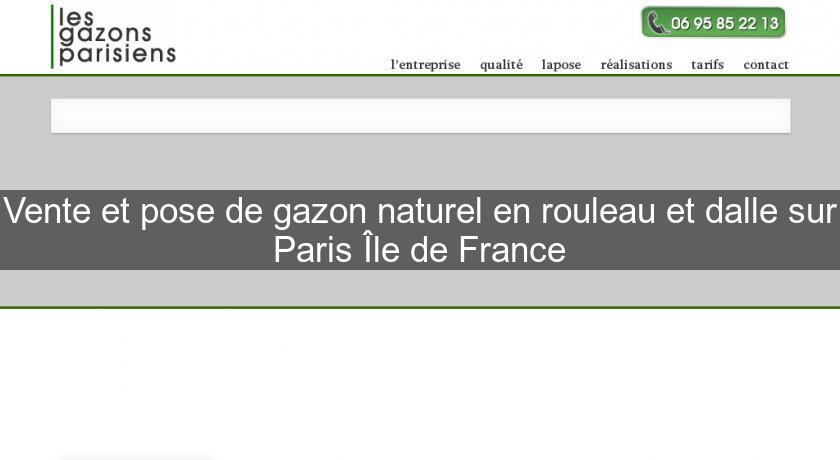 Vente et pose de gazon naturel en rouleau et dalle sur Paris Île de France Vente et pose de gazon naturel en rouleau et dalle sur Paris Île de France