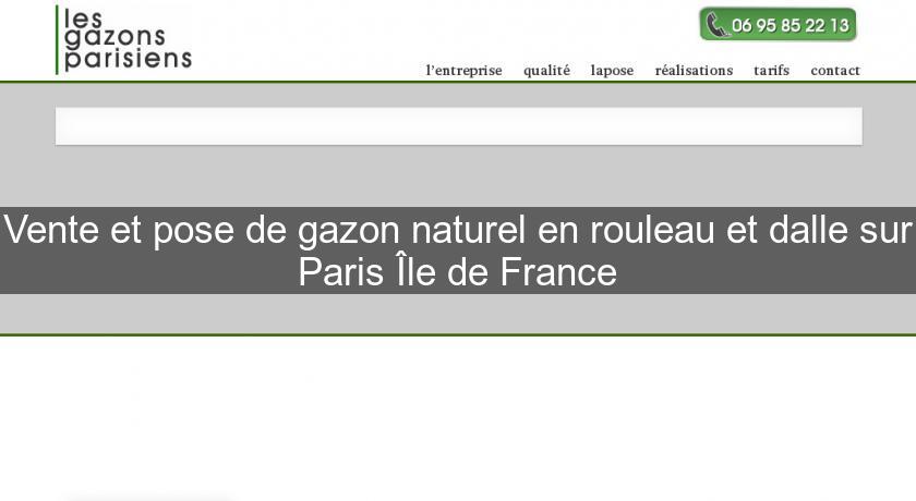 Vente et pose de gazon naturel en rouleau et dalle sur Paris Île de France