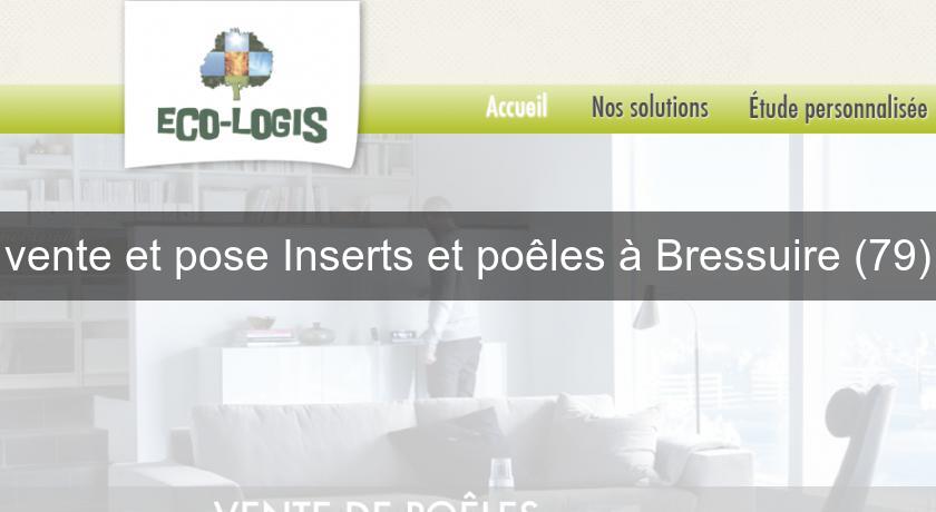 vente et pose Inserts et poêles à Bressuire (79) vente et pose Inserts et poêles à Bressuire (79)