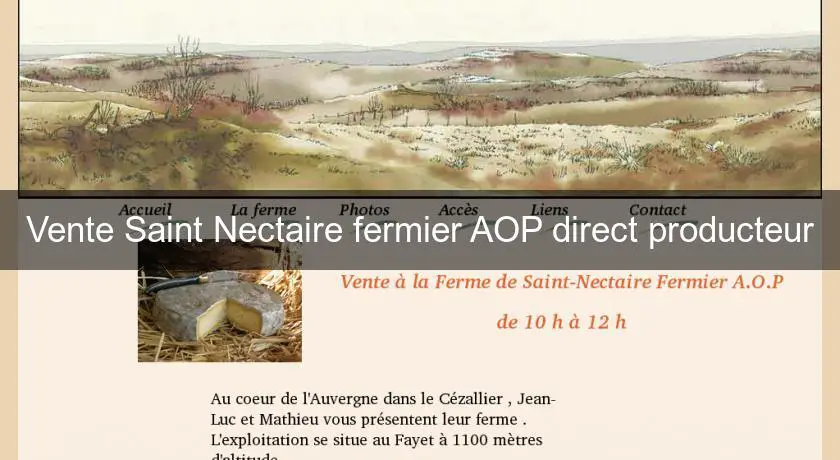 Vente Saint Nectaire fermier AOP direct producteur