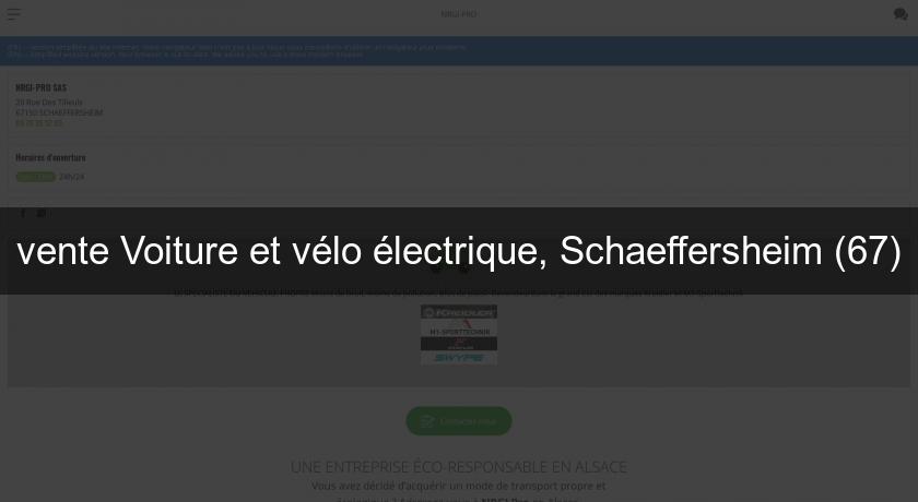 vente Voiture et vélo électrique, Schaeffersheim (67)