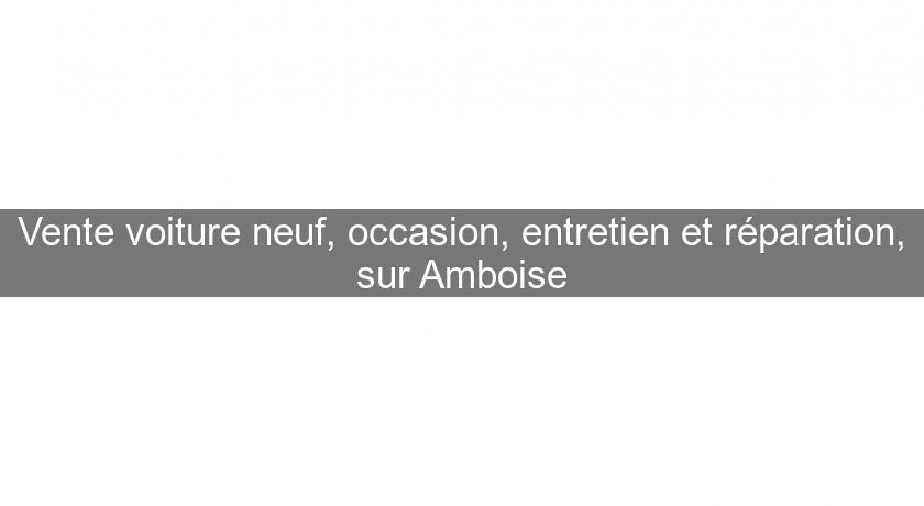 Vente voiture neuf, occasion, entretien et réparation, sur Amboise