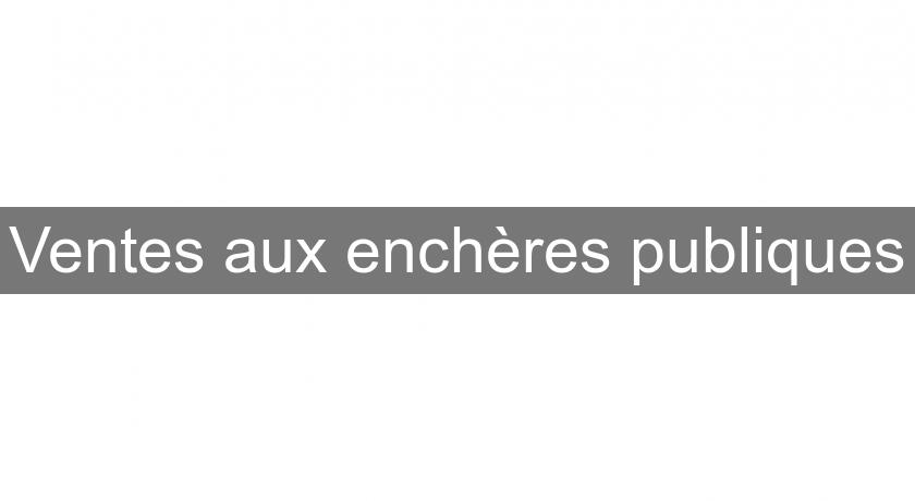 Ventes aux enchères publiques Ventes aux enchères publiques