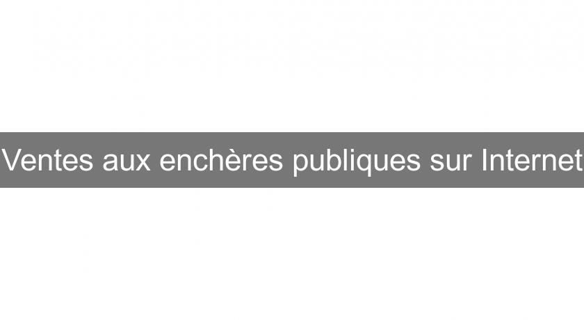 Ventes aux enchères publiques sur Internet Ventes aux enchères publiques sur Internet
