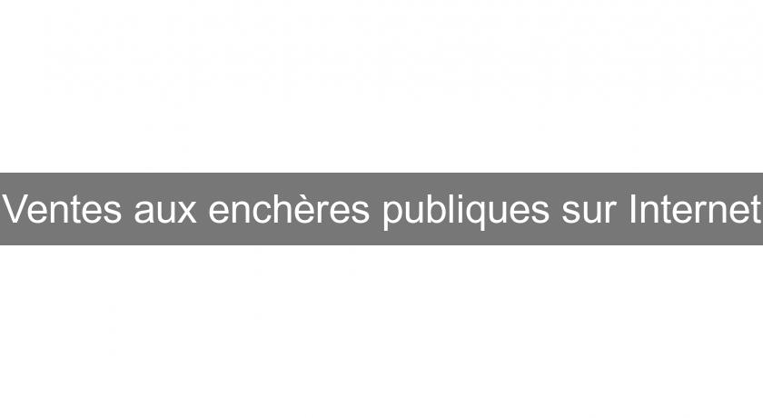 Ventes aux enchères publiques sur Internet