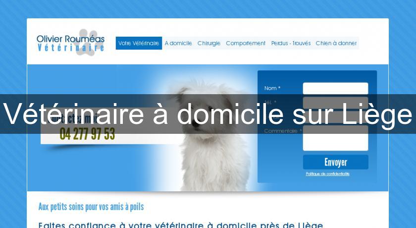 Vétérinaire à Domicile Sur Liège Vétérinaire