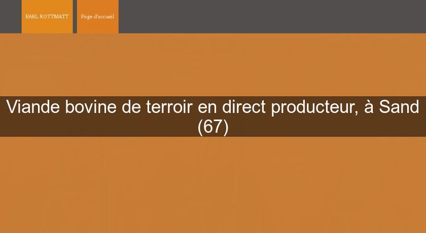 Viande bovine de terroir en direct producteur, à Sand (67)