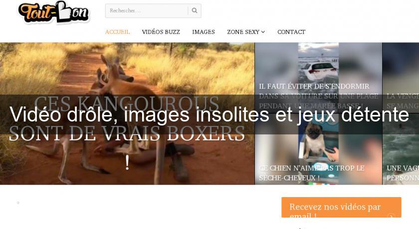 Vidéo drôle, images insolites et jeux détente