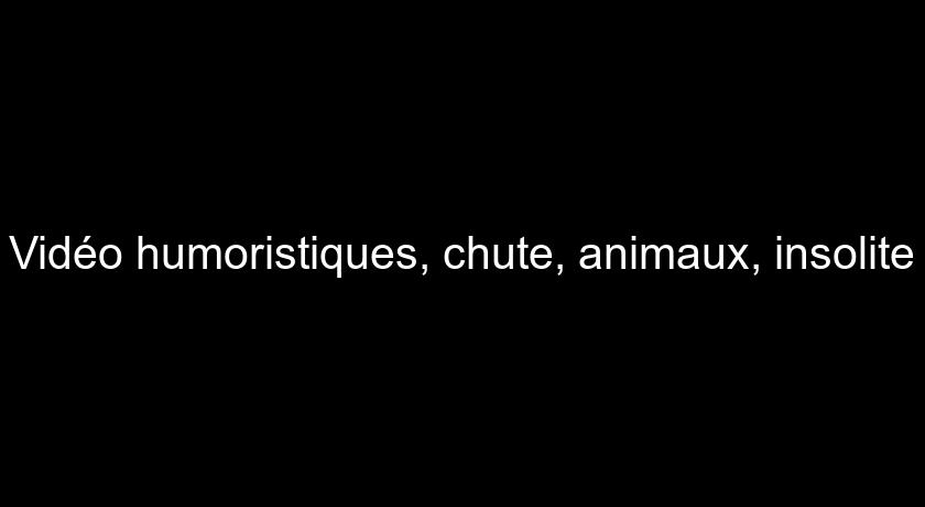 Vidéo humoristiques, chute, animaux, insolite