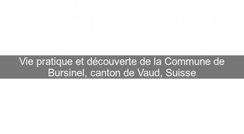 Vie pratique et découverte de la Commune de Bursinel, canton de Vaud, Suisse Vie pratique et découverte de la Commune de Bursinel, canton de Vaud, Suisse