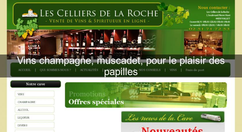 Vins champagne, muscadet, pour le plaisir des papilles