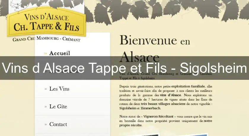 Vins d'Alsace Tappe et Fils - Sigolsheim