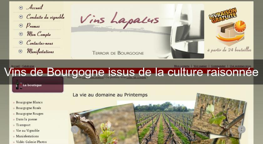 Vins de Bourgogne issus de la culture raisonnée Vins de Bourgogne issus de la culture raisonnée