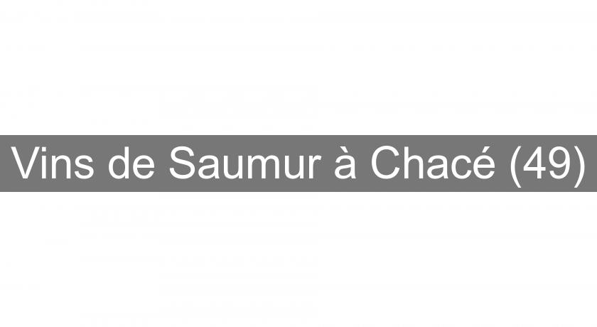 Vins de Saumur à Chacé (49)