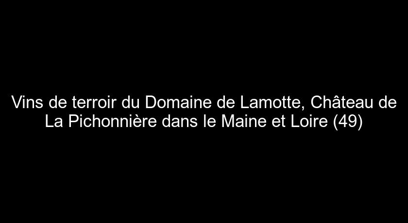 Vins de terroir du Domaine de Lamotte, Château de La Pichonnière dans le Maine et Loire (49) Vins de terroir du Domaine de Lamotte, Château de La Pichonnière dans le Maine et Loire (49)