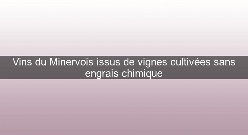Vins du Minervois issus de vignes cultivées sans engrais chimique Vins du Minervois issus de vignes cultivées sans engrais chimique