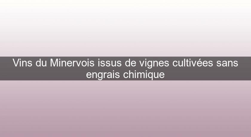 Vins du Minervois issus de vignes cultivées sans engrais chimique