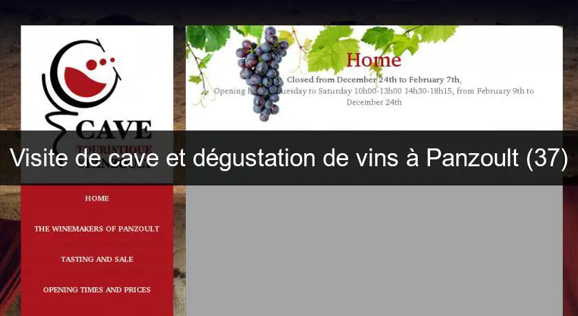 Visite de cave et dégustation de vins à Panzoult (37)