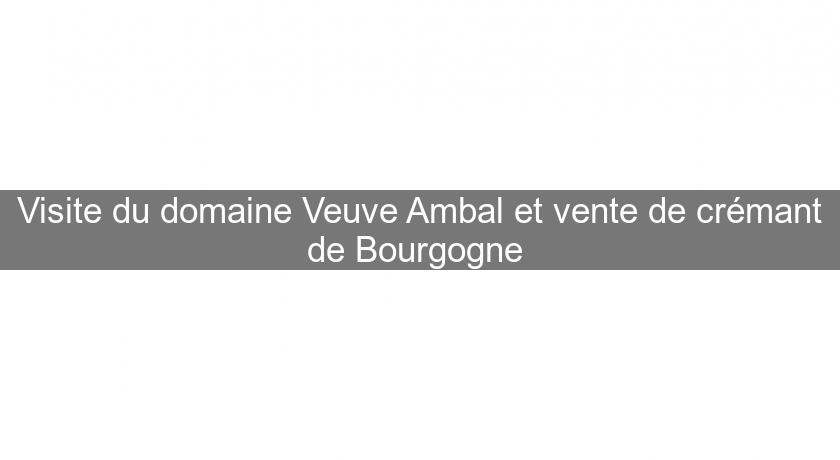 Visite du domaine Veuve Ambal et vente de crémant de Bourgogne Visite du domaine Veuve Ambal et vente de crémant de Bourgogne