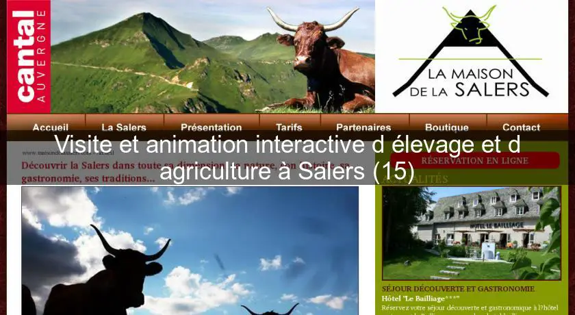 Visite et animation interactive d'élevage et d'agriculture à Salers (15)