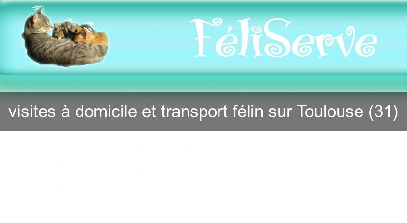 visites à domicile et transport félin sur Toulouse (31) visites à domicile et transport félin sur Toulouse (31)