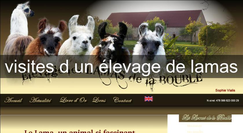 visites d'un élevage de lamas