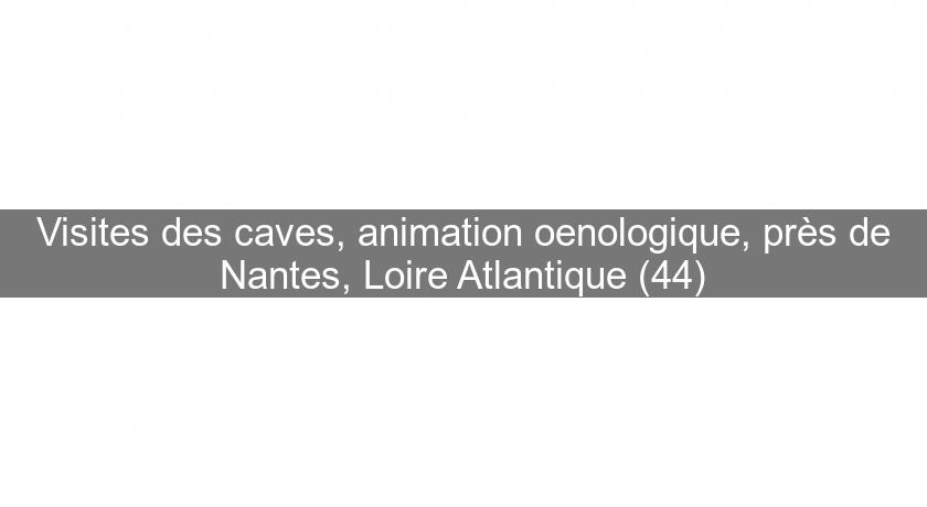 Visites des caves, animation oenologique, près de Nantes, Loire Atlantique (44)