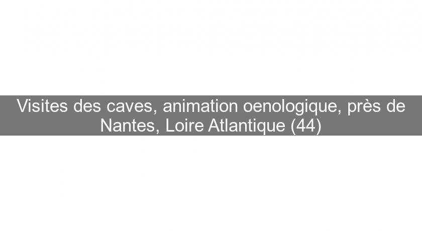 Visites des caves, animation oenologique, près de Nantes, Loire Atlantique (44) Visites des caves, animation oenologique, près de Nantes, Loire Atlantique (44)