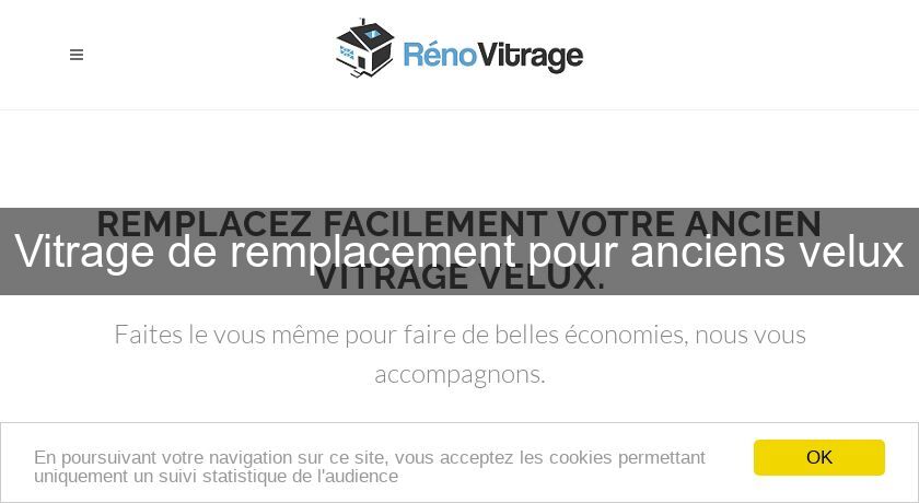 Vitrage de remplacement pour anciens velux