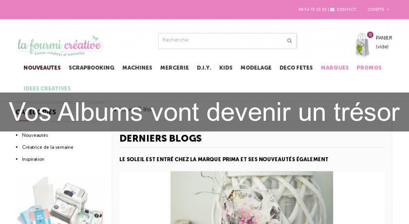 Vos Albums vont devenir un trésor Vos Albums vont devenir un trésor