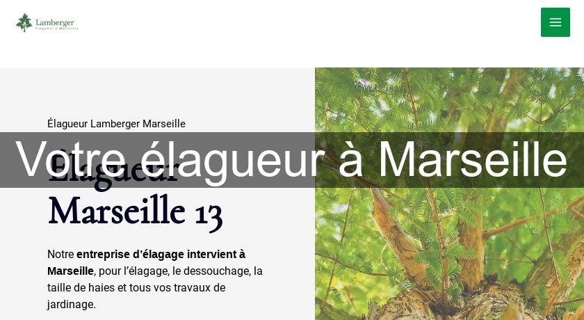 Votre élagueur à Marseille Votre élagueur à Marseille